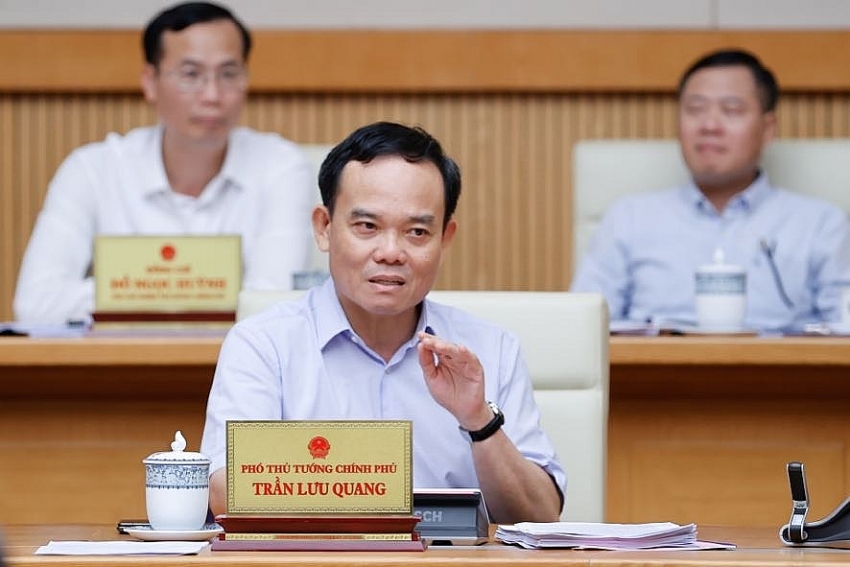 Phó Thủ tướng Trần Lưu Quang phát biểu tại phiên họp - Ảnh: VGP/Nhật Bắc