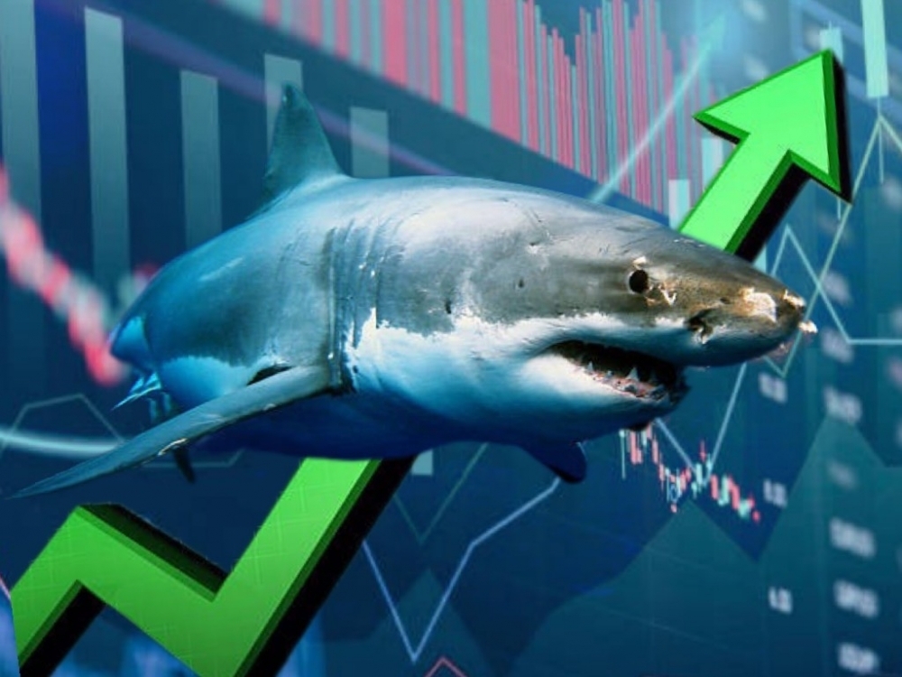 VN-Index bật tăng mạnh, dòng tiền "cá mập" tìm đến nhóm chứng khoán, bán lẻ và bất động sản