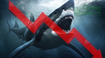 VN-Index quanh mốc tham chiếu, dòng tiền cá mập có phần rụt rè hơn