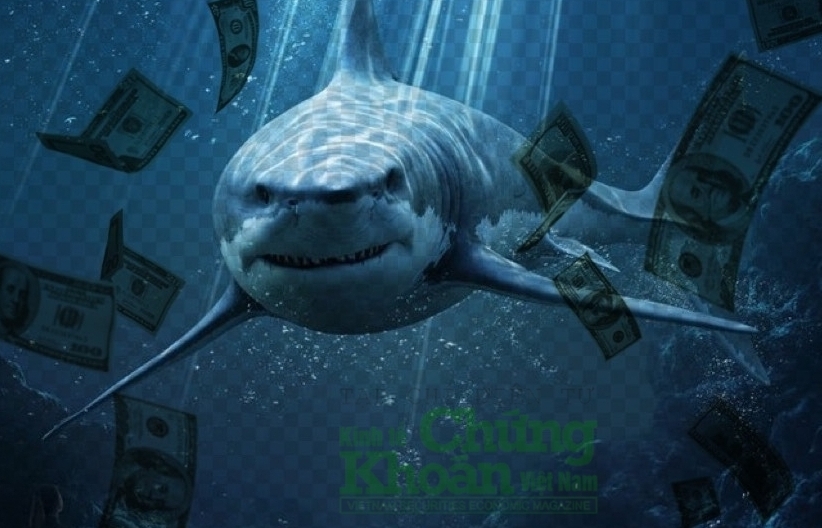 Dòng tiền cá mập suy yếu, cổ phiếu chăn nuôi là điểm sáng