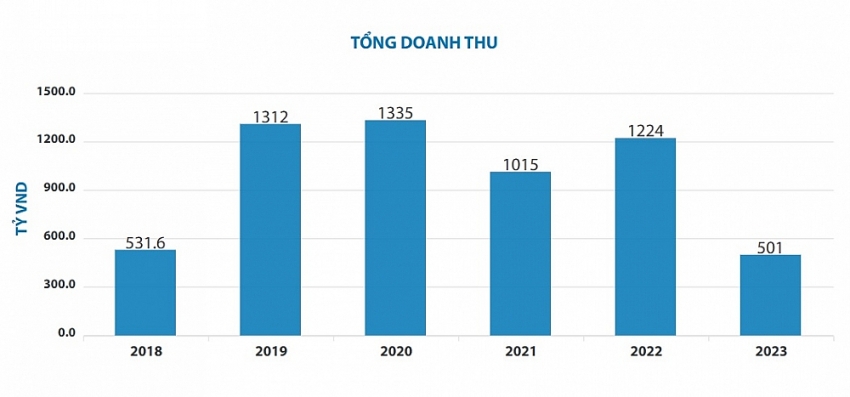 Doanh thu Dinco sụt giảm mạnh trong năm 2023