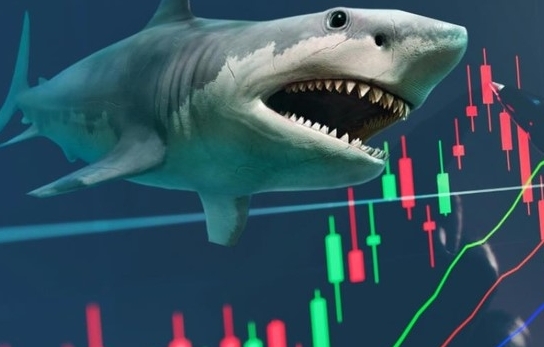 Dòng tiền cá mập đổ bộ cuối phiên, VN-Index bất ngờ tăng vọt 14 điểm