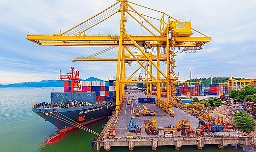 Chi gần 140 tỷ đồng trả cổ tức, Cảng Đà Nẵng khiến cổ đông ấm lòng