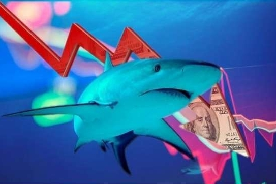 Tâm lý thận trọng bao trùm, dòng tiền cá mập bất ngờ 