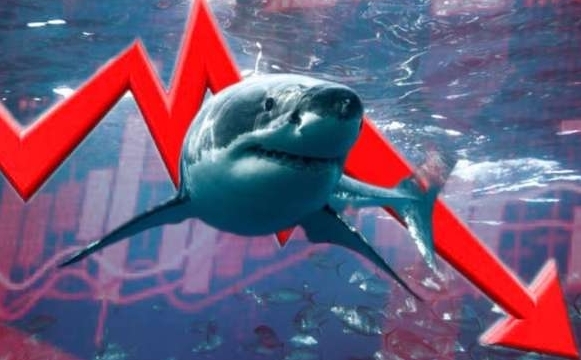 Dòng tiền cá mập chốt lời diện rộng, một cổ phiếu công nghệ bị bán tháo