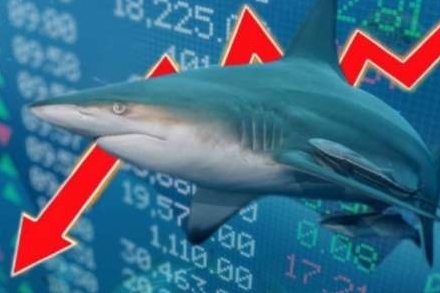 Dòng tiền cá mập tụt áp, VN-Index dừng chân dưới mốc tham chiếu