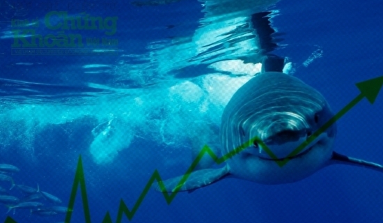 VN-Index bứt tốc, dòng tiền cá mập đổ bộ FPT với hơn 1.000 tỷ đồng