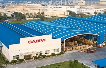 Cadivi - ‘gà đẻ trứng vàng’ của GEE tiếp tục chi hàng trăm tỷ đồng trả cổ tức