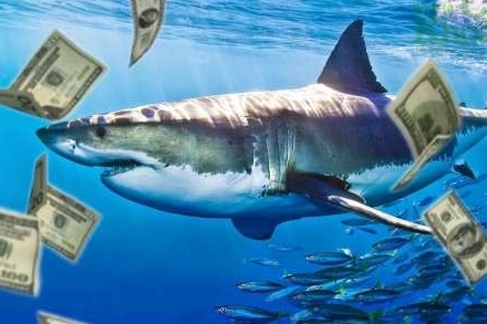 VN-Index lình xình quanh tham chiếu, dòng tiền cá mập chảy mạnh nhóm ngân hàng