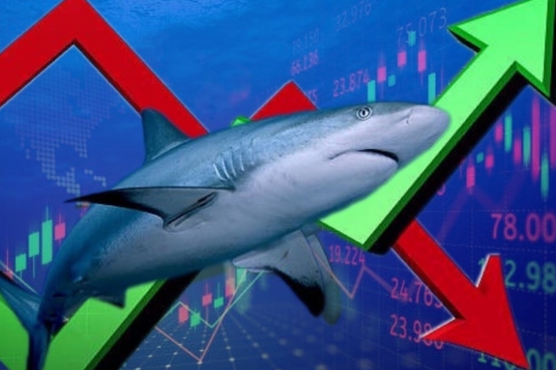 Thanh khoản sụt giảm, dòng tiền cá mập bất ngờ tìm đến nhóm vận tải - cảng biển