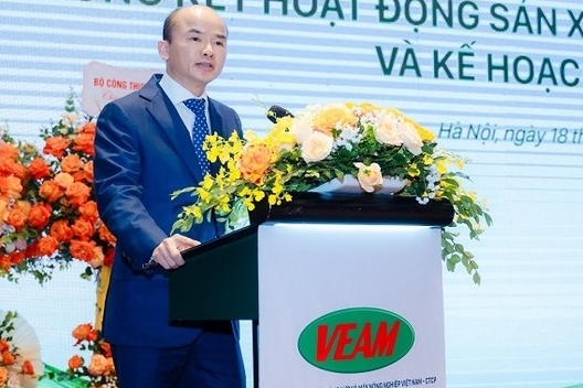 Tổng Giám đốc Phan Phạm Hà bị khởi tố, cổ phiếu VEA 