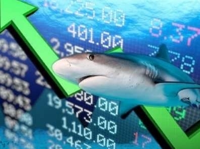 Dòng tiền cá mập giao dịch đột biến tại DGC, VN-Index có phiên hồi phục nhẹ