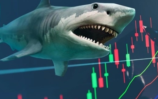 Nhóm cổ phiếu trụ giữ điểm, dòng tiền cá mập chảy mạnh vào nhóm Bán lẻ và Ngân hàng