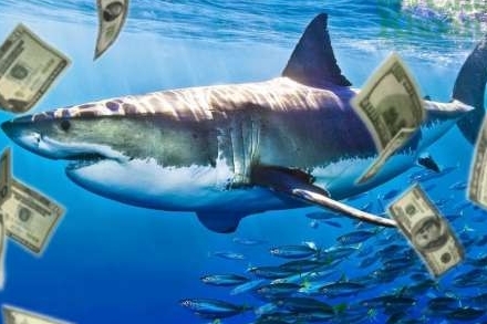VN-Index đảo chiều tăng tốc, cổ phiếu FPT hút mạnh dòng tiền cá mập với hơn 1.400 tỷ