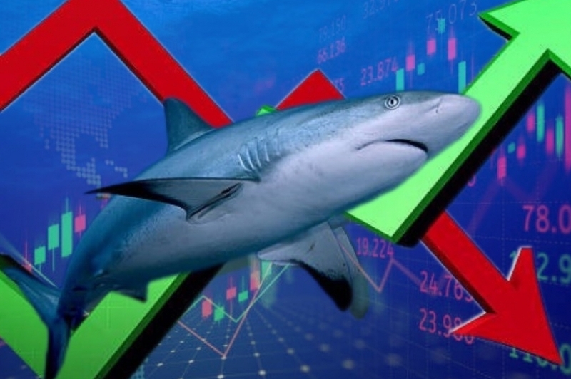 Dòng tiền cá mập lan tỏa nhiều nhóm ngành giúp thị trường đảo chiều hồi phục