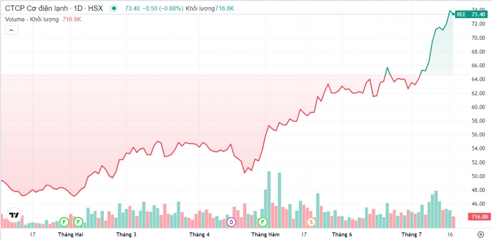 Bỏ lại VN-Index loay hoay dưới mốc 1.300, một cổ phiếu bluechip âm thầm lập đỉnh mới