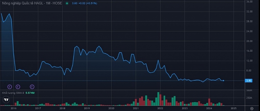 HNG nêu lộ trình khắc phục cổ phiếu bị kiểm soát