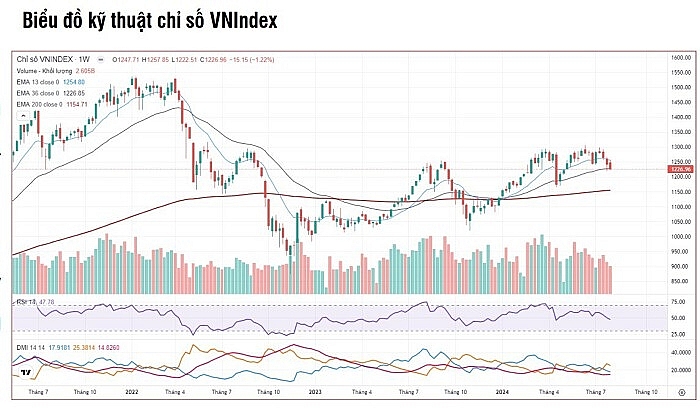 SSI Research