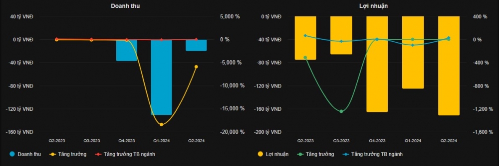 Doanh thu và lợi nhuận LDG