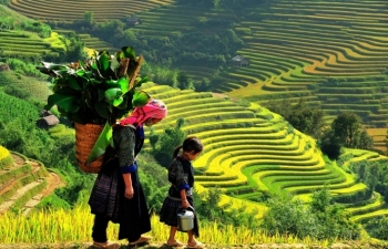 Hội đồng thẩm định nhà nước: Điều chỉnh Chương trình mục tiêu quốc gia phát triển vùng dân tộc thiểu số