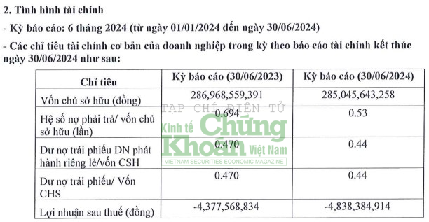 Đầu tư Bệnh viện Việt Mỹ báo lỗ bán niên, gia hạn trái phiếu thêm 2 năm