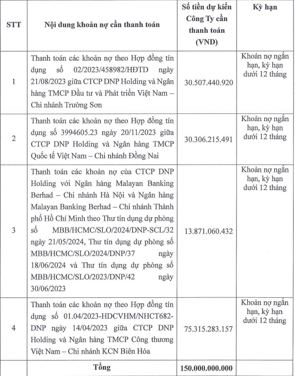 DNP Holding phát hành 200 tỷ đồng trái phiếu để cơ cấu nợ ngân hàng