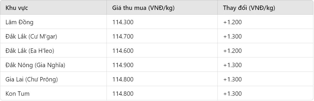 Giá cà phê hôm nay 16/10: Tăng mạnh, thiết lập mức giá cao kỷ lục