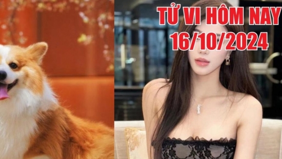 Tử vi hôm nay 16/10/2024 của 12 con giáp: Mão bất ổn công việc, Tuất có cơ hội kiếm tiền