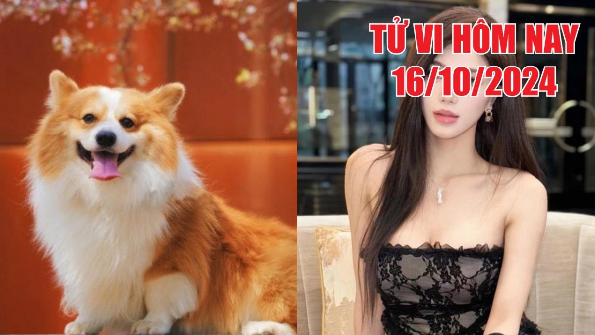 Tử vi hôm nay 16/10/2024 của 12 con giáp: Tuổi Mão, tuổi Tuất