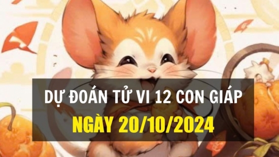 Dự đoán tử vi ngày 20/10/2024 của 12 con giáp: Tý đón tin vui, Tuất may mắn về tiền bạc