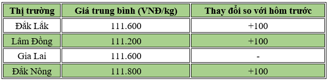 Cập nhật giá cà phê trong nước