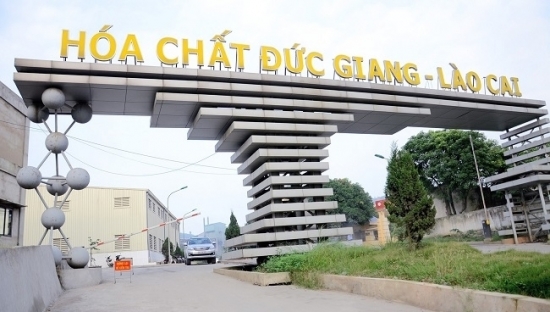 "Của để dành" dồi dào, Hóa chất Đức Giang (DGC) chi cổ tức hậu hĩnh