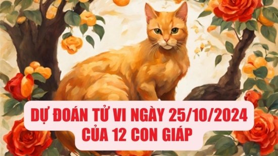 Dự đoán tử vi ngày 25/10/2024 của 12 con giáp: Thìn gặp lực cản, Mão cần giữ vững sự tỉnh táo