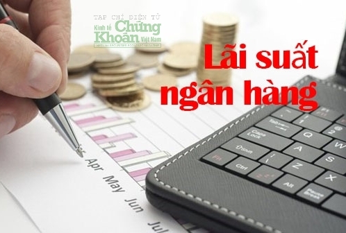 Lãi suất ngân hàng hôm nay 26/10/2024: PVcomBank, HDBank, MSB dẫn đầu