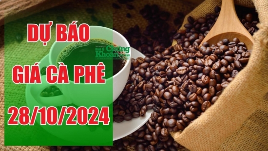 Dự báo giá cà phê ngày 28/10/2024: Giá tiếp tục giảm mạnh đầu tuần mới