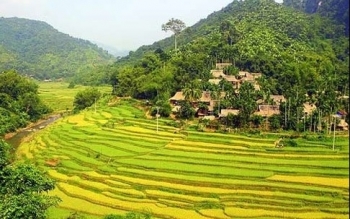 Thanh Hóa sẽ hiện thực hóa ước mơ đưa du lịch nông nghiệp trở thành ngành kinh tế mũi nhọn