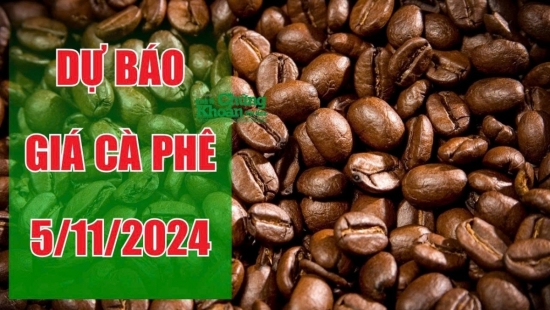 Dự báo giá cà phê ngày 5/11: Giá nội địa khó lặp lại lịch sử, cà phê Lâm Đồng thấp kỷ lục