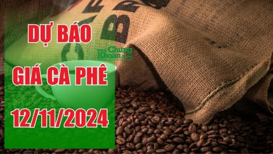 Dự báo giá cà phê ngày 12/11/2024: Thị trường nội địa khởi sắc, đà tăng sẽ còn tiếp tục