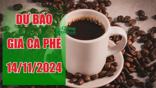 Dự báo giá cà phê ngày 14/11/2024: Khả năng tiếp tục tăng, cơ hội mới cho người dân?