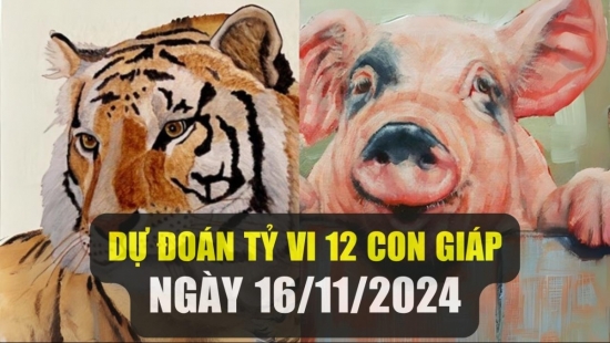 Dự đoán tử vi ngày 16/11/2024 của 12 con giáp: Dần dễ hao tài, Hợi cảnh giác với những lời hứa