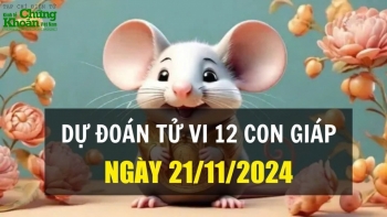 Dự đoán tử vi ngày 21/11/2024 của 12 con giáp: Thìn tỏa sáng, Tỵ cẩn trọng