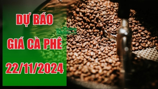 Dự báo giá cà phê 22/11: Phục hồi khi nhu cầu tiêu thụ cuối năm tăng mạnh