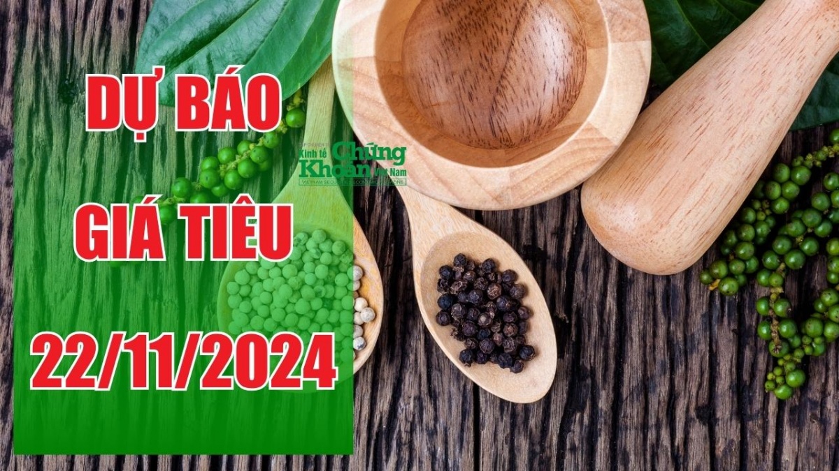 Dự báo giá tiêu ngày 22/11