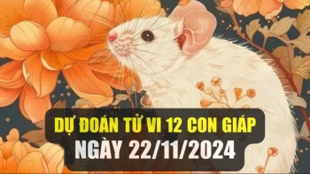 Dự đoán tử vi ngày 22/11/2024 của 12 con giáp: Tý trục trặc tình cảm, Thân đón tài lộc bất ngờ