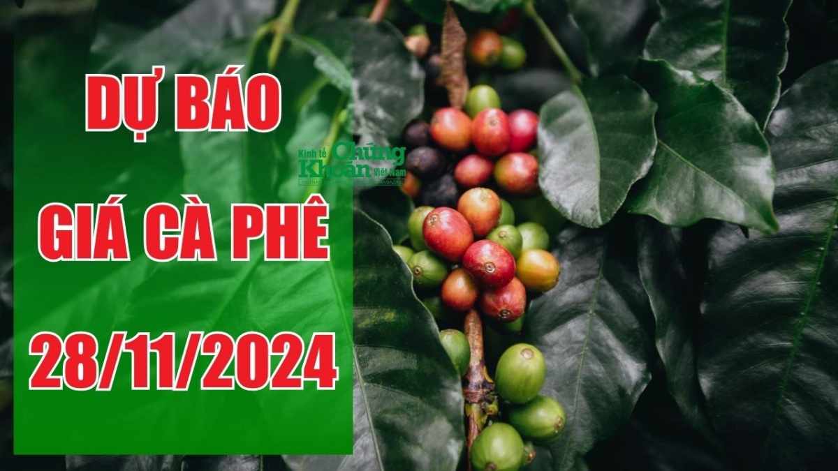 Dự báo giá cà phê ngày 28/11/2024: Có thể tạo cột mốc lớn trong lịch sử?