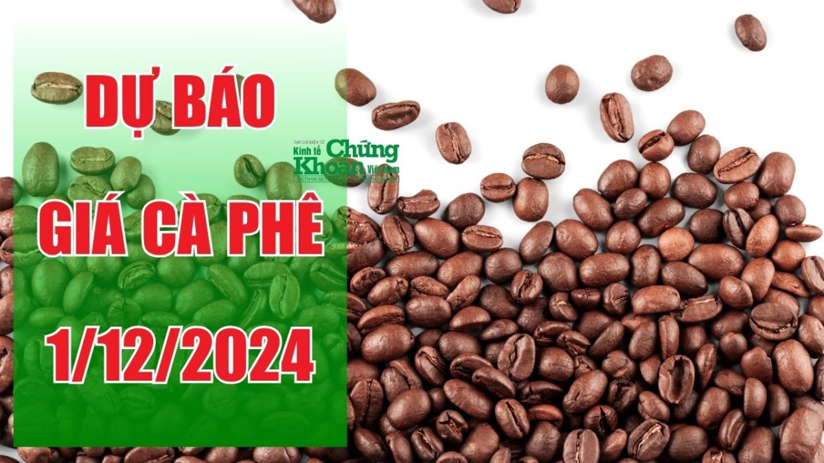 Dự báo giá cà phê ngày 1/12/2024: Thị trường nóng lên, giá có thể giảm nhẹ?