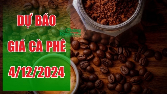 Dự báo giá cà phê ngày 4/12: Liệu có phục hồi sau cú giảm mạnh?