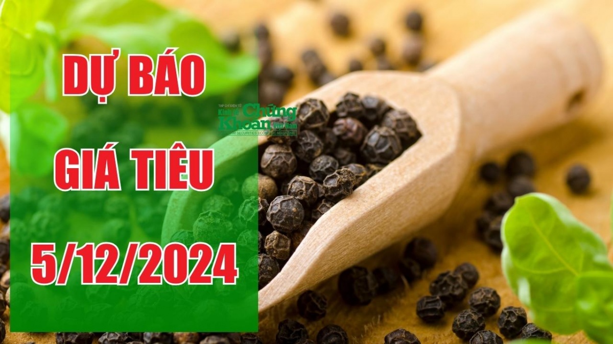 Dự báo giá tiêu ngày 5/12/2024: Giá tiêu nội địa có tăng trở lại?