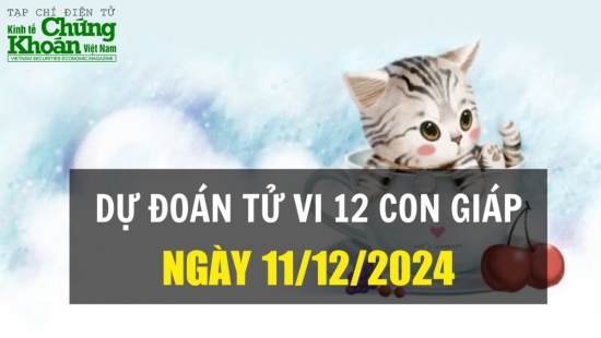 Dự đoán tử vi ngày 11/12/2024 của 12 con giáp: Dần tài chính tăng trưởng, Hợi gặt hái thành quả