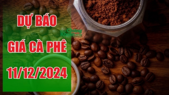 Dự báo giá cà phê ngày 11/12/2024: Giá có thể tăng nhẹ trong phiên tới